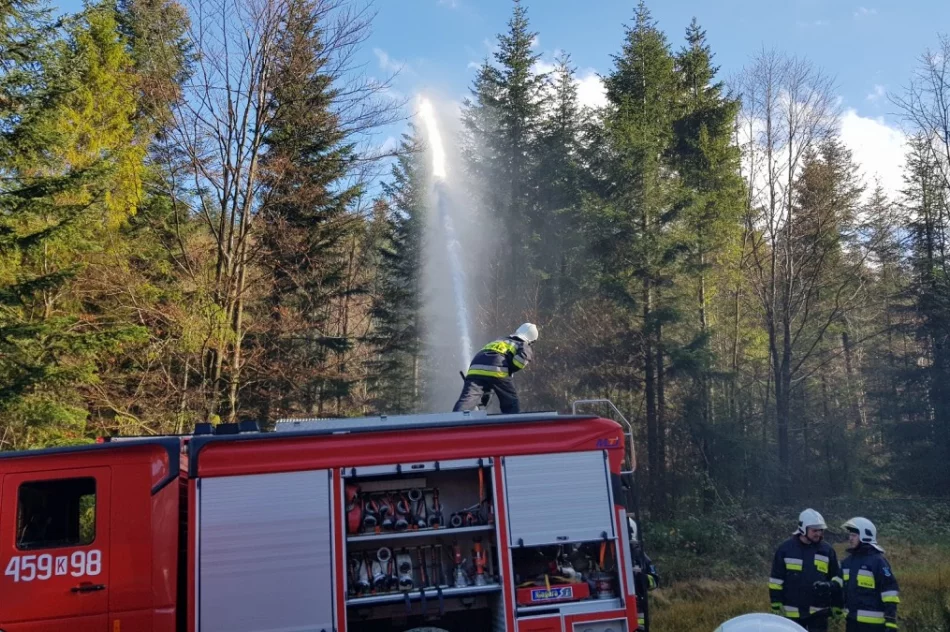 Strażacy ćwiczyli gaszenie pożaru lasu - zdjęcie 6