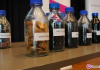 1 lipca wejdą w życie uchwały antysmogowe - zdjęcie główne