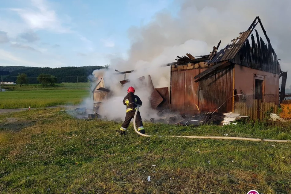 40 strażaków walczyło z pożarem (zdjęcia i wideo) - zdjęcie 2