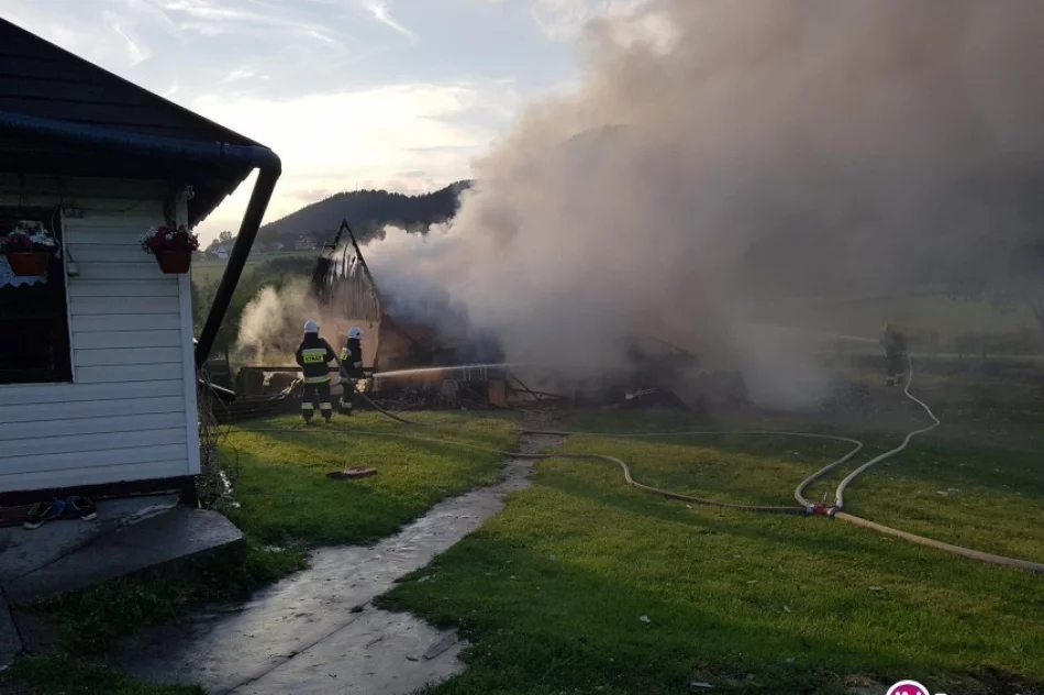 40 strażaków walczyło z pożarem (zdjęcia i wideo) - zdjęcie 3