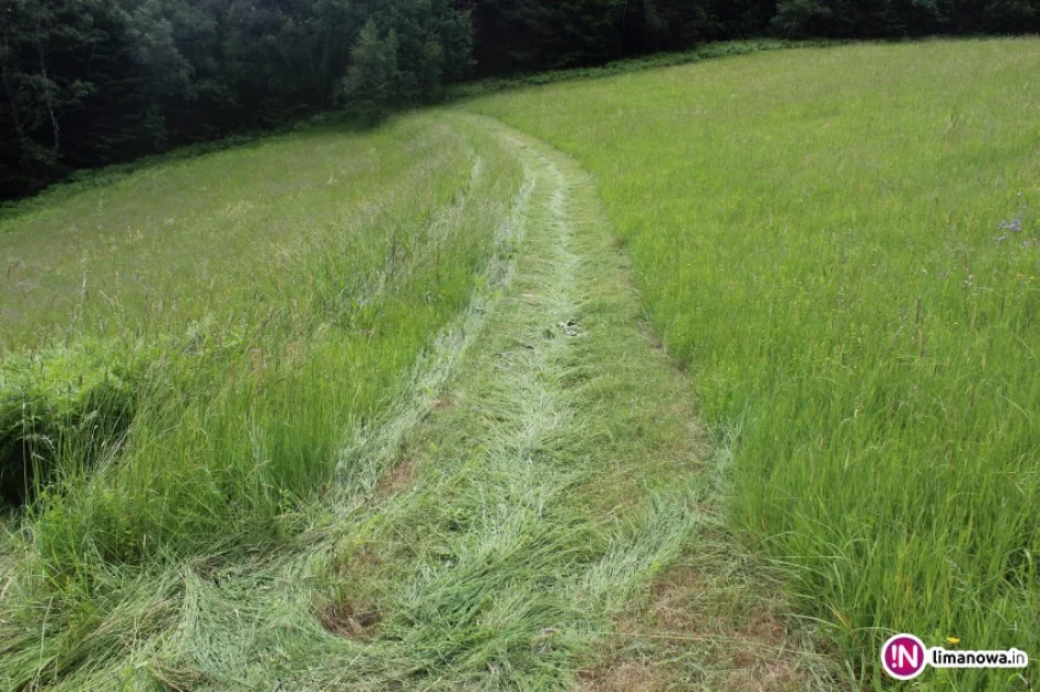 46-letni traktorzysta przygnieciony przez ciągnik - zdjęcie 2