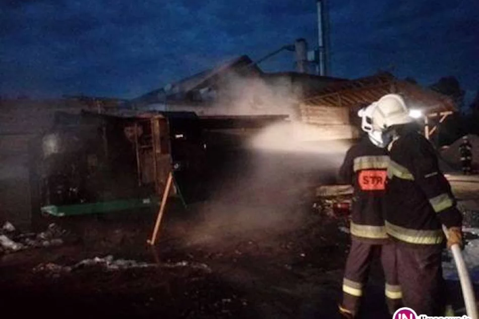 Ponad milion złotych strat po pożarze w tartaku - zdjęcie 3