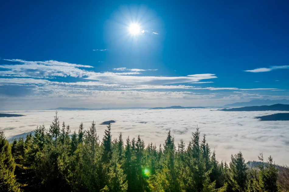 Maksymalnie 3 osoby na wieży jednocześnie - ze względów bezpieczeństwa - zdjęcie 4
