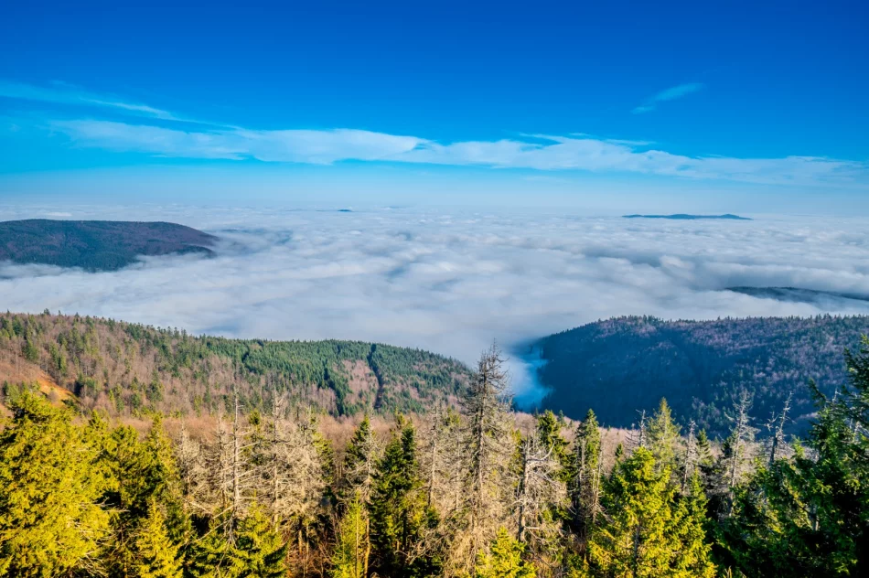 Maksymalnie 3 osoby na wieży jednocześnie - ze względów bezpieczeństwa - zdjęcie 5
