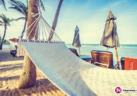 Wakacyjne plany Polaków - zdjęcie główne