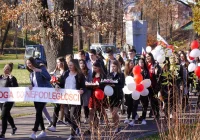 Marsz „Od Kościuszki do Piłsudskiego” - zdjęcie główne