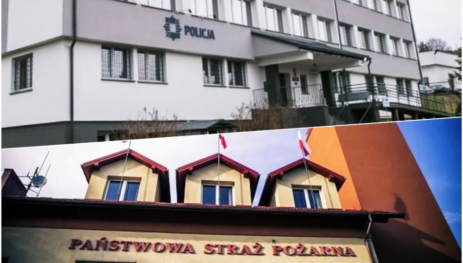 "Psia grypa" panuje, zaczyna się "czerwonka" - strażacy też przebywają na L4 - zdjęcie 1