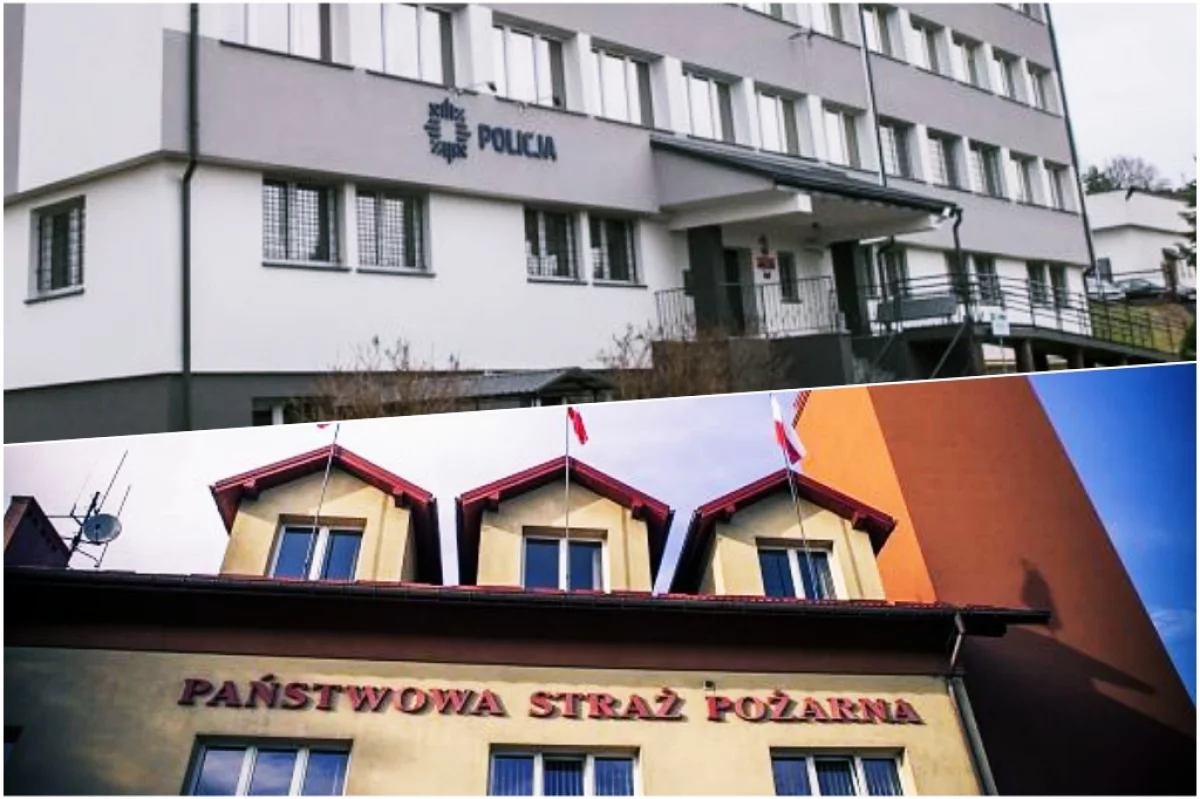 "Psia grypa" panuje, zaczyna się "czerwonka" - strażacy też przebywają na L4