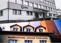 "Psia grypa" panuje, zaczyna się "czerwonka" - strażacy też przebywają na L4 - zdjęcie główne