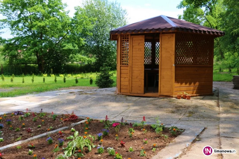 Seniorzy stworzyli w mieście letni ogród - zdjęcie 2