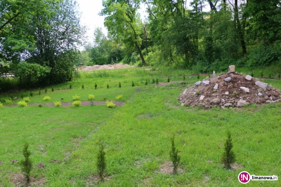 Seniorzy stworzyli w mieście letni ogród - zdjęcie 3