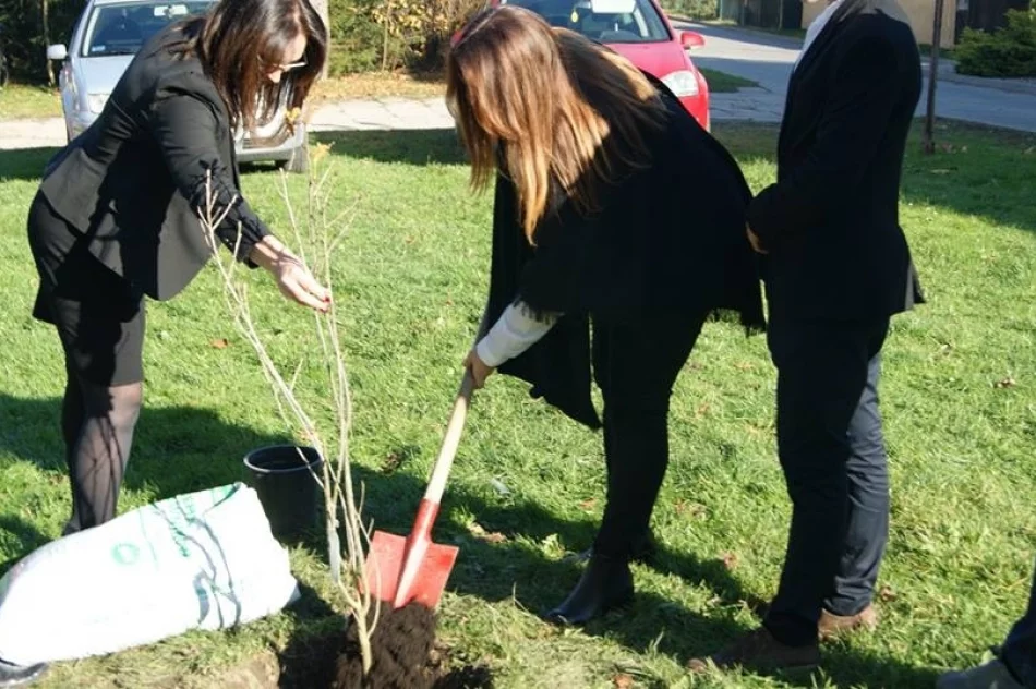 W setną rocznicę posadzili dąb - zdjęcie 10