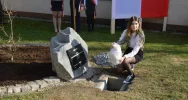 Dąb, kapsuła czasu i konkurs słodkości dla Niepodległej – w ZSTI już świętują - zdjęcie 3