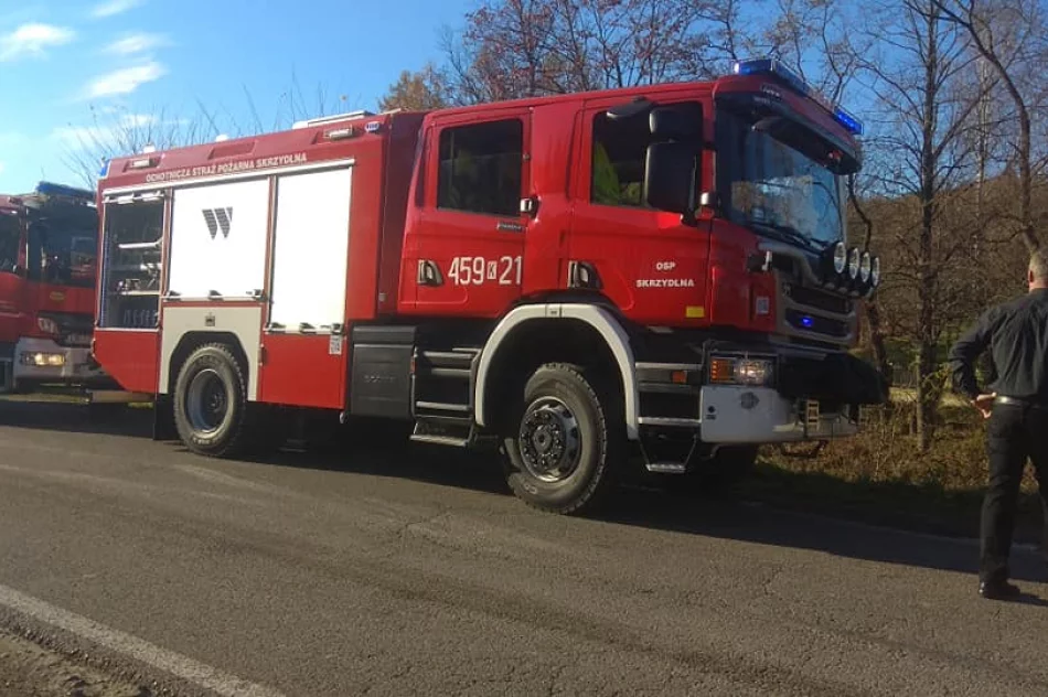 Strażacy ugasili pożar niezamieszkałego budynku - zdjęcie 2