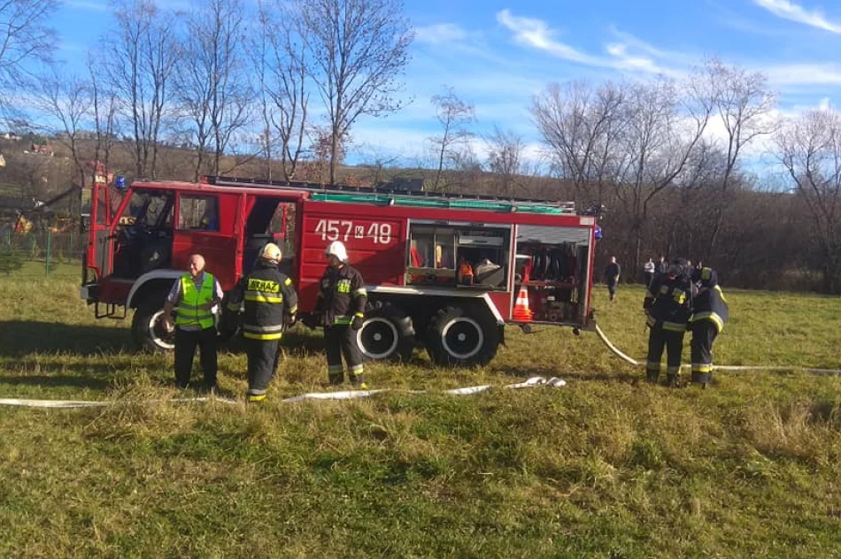 Strażacy ugasili pożar niezamieszkałego budynku - zdjęcie 3