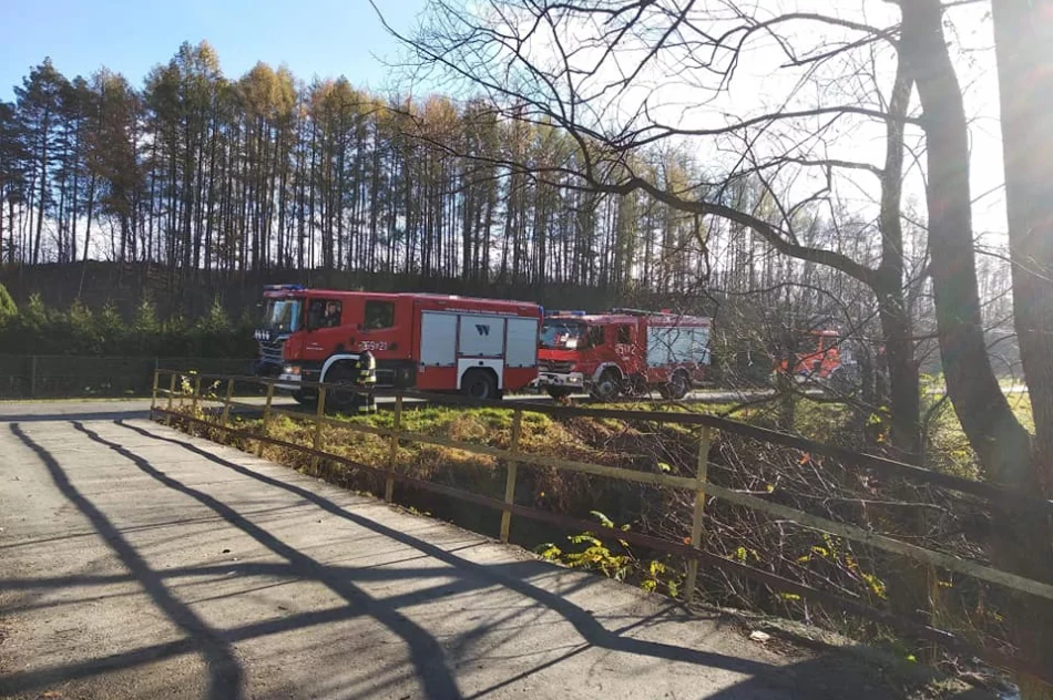 Strażacy ugasili pożar niezamieszkałego budynku - zdjęcie 4