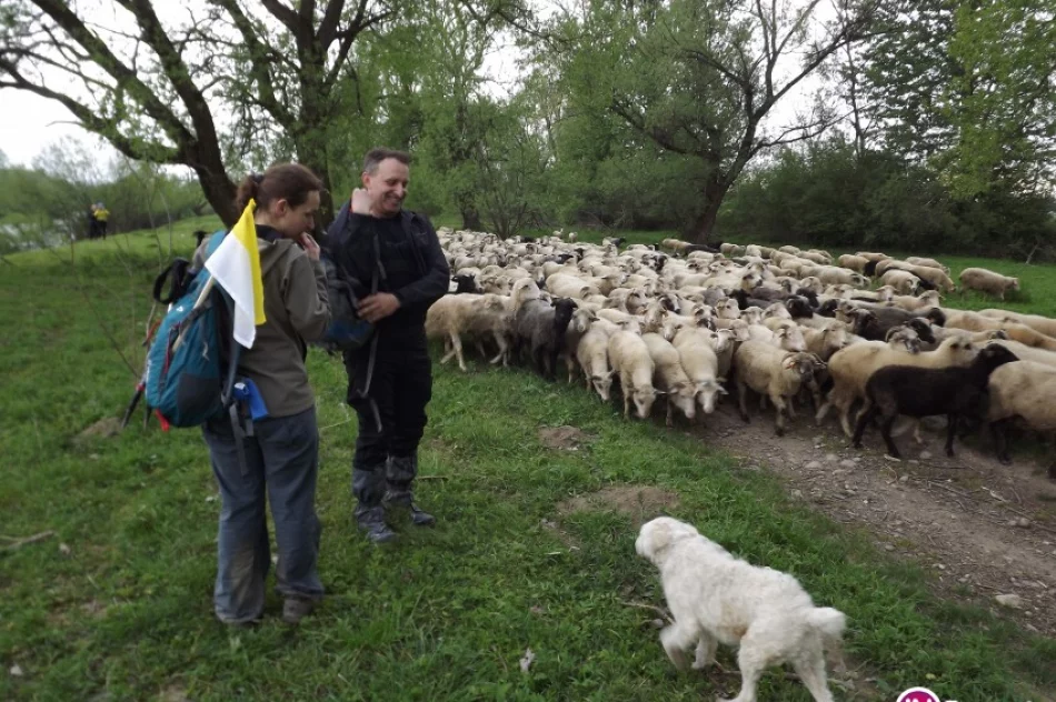 15 pielgrzymów na Beskidzkim Camino - relacja i wspomnienia - zdjęcie 4