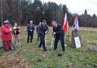 Mała wielka uroczystość - zdjęcie główne