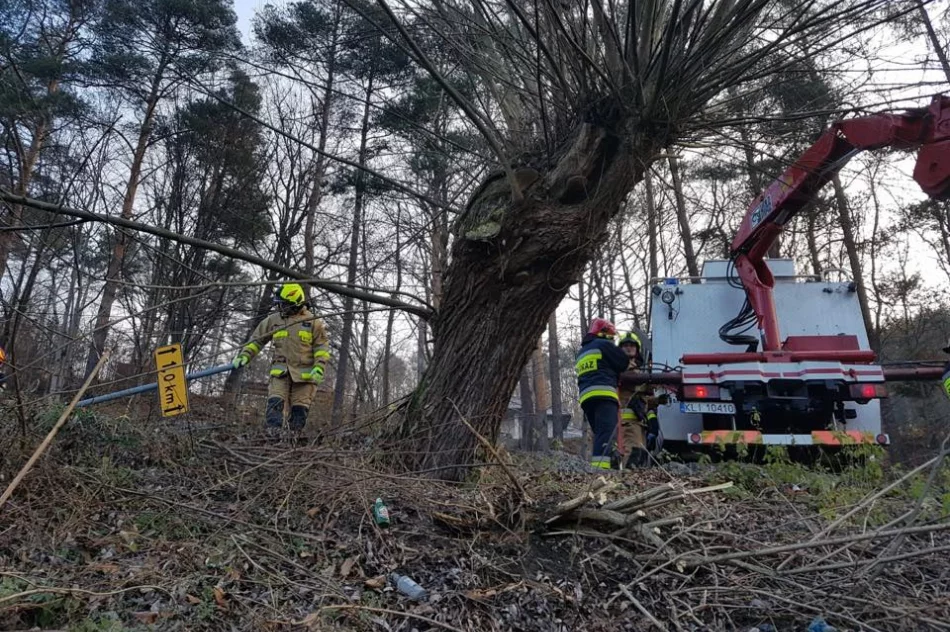 Opel wpadł do koryta potoku - zdjęcie 5