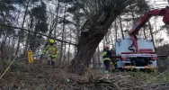 Opel wpadł do koryta potoku - zdjęcie 5