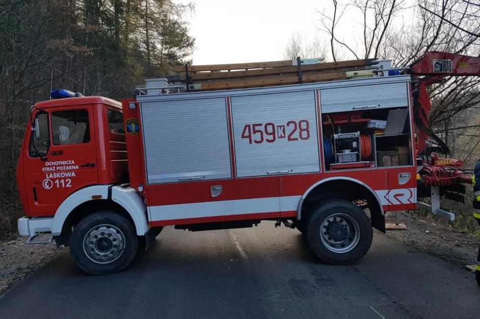 Opel wpadł do koryta potoku - zdjęcie 6