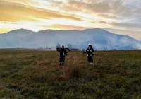 Gasili pożar traw  - zdjęcie główne