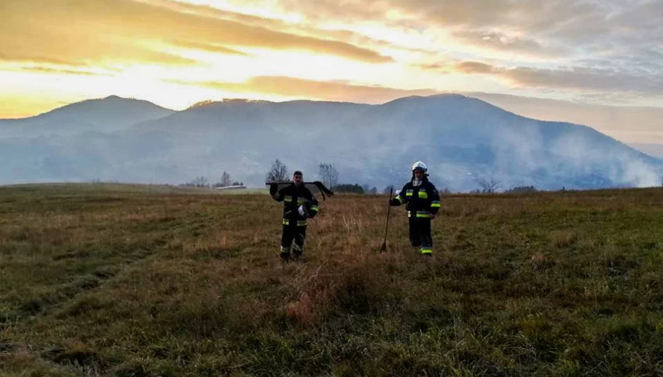 Gasili pożar traw  - zdjęcie 1