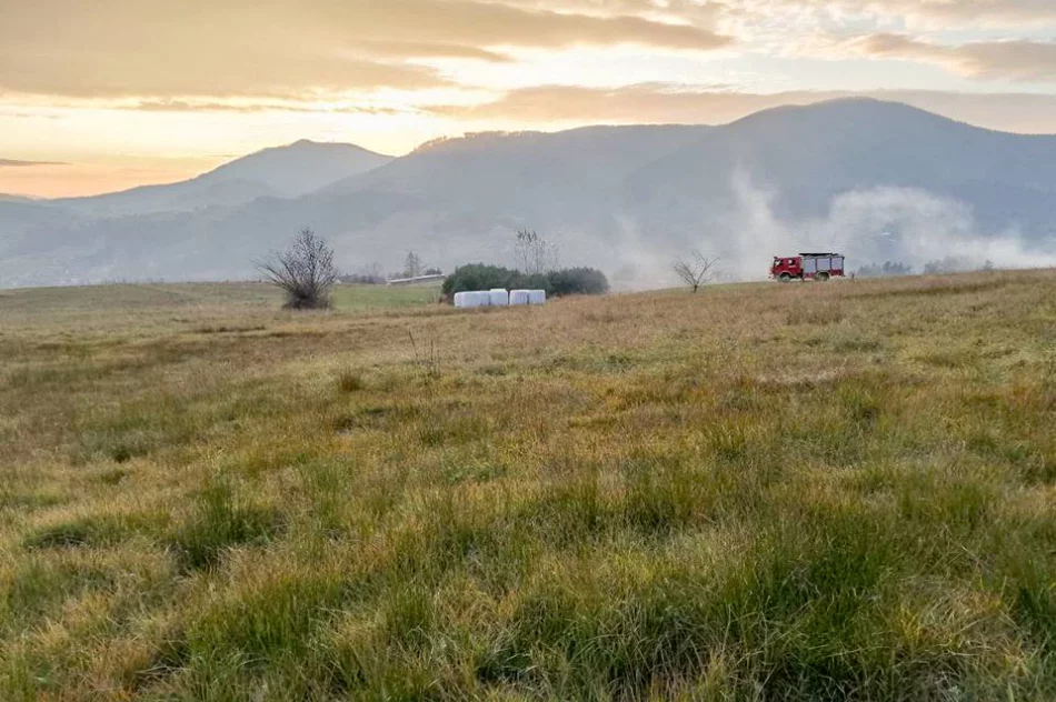 Gasili pożar traw  - zdjęcie 2