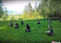 Obrona cywilna szkoli 'Strzelca' - zdjęcie główne