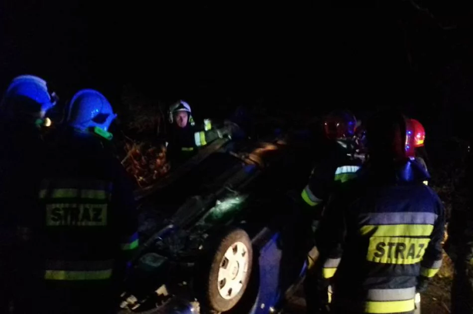 Skoda dachowała na drodze powiatowej. 18-letniej kierującej nic się nie stało - zdjęcie 2