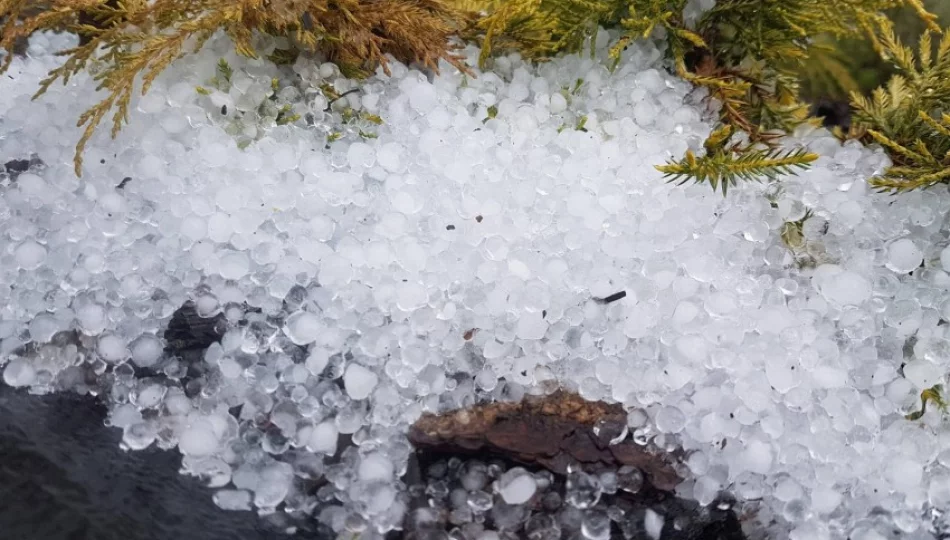 Drogą płynęła rzeka, jedna piwnica zalana - zdjęcie 1