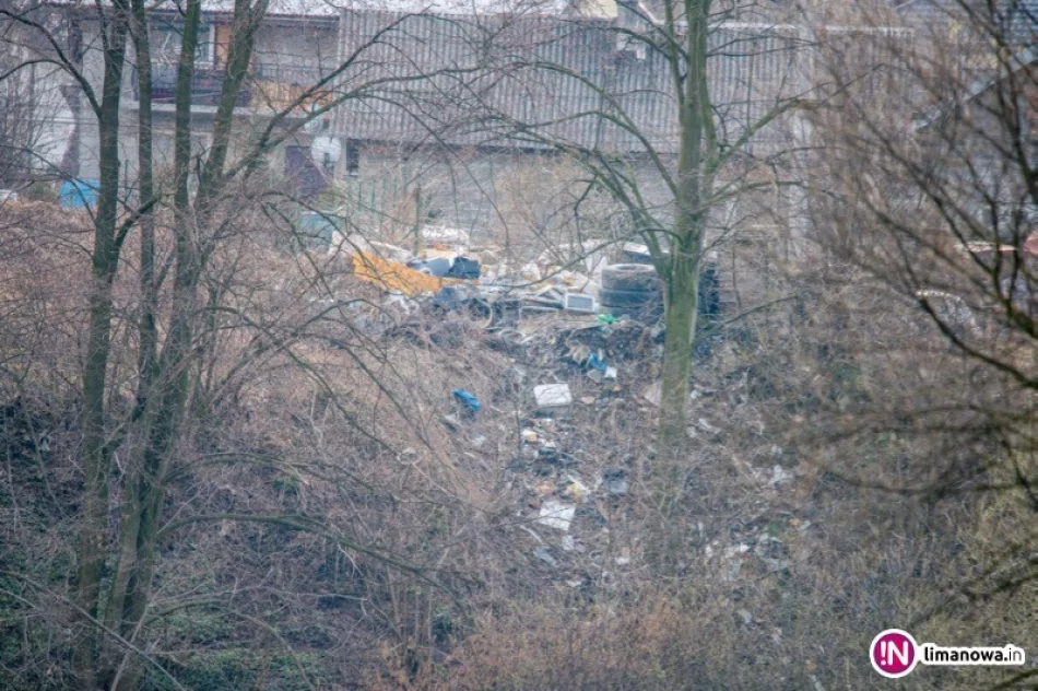 Fotointerwencja: wysypisko przy osiedlu - zdjęcie 2