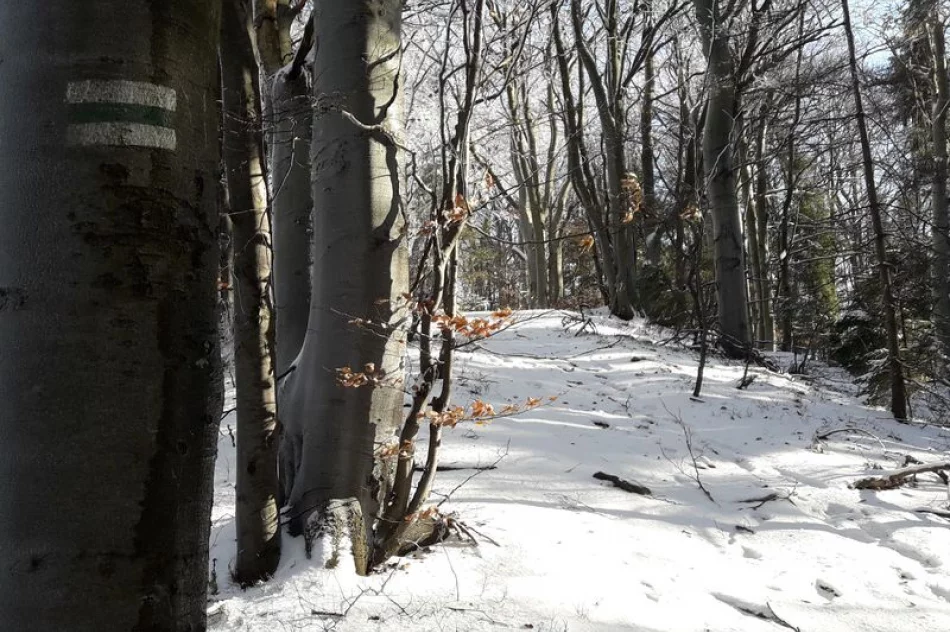 Strzelcy na Śnieżnicy - zdjęcie 4