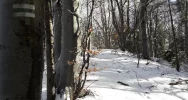Strzelcy na Śnieżnicy - zdjęcie 4