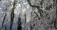 Strzelcy na Śnieżnicy - zdjęcie 5