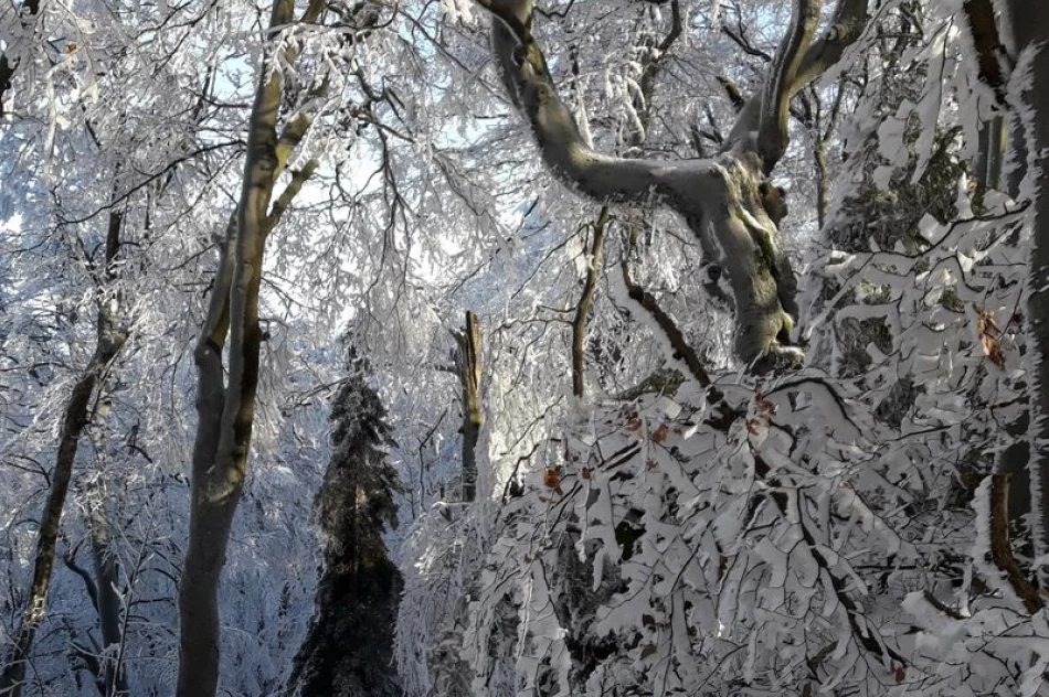 Strzelcy na Śnieżnicy - zdjęcie 5