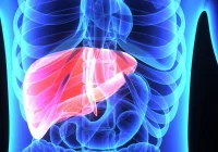 Jesteś otyły – uważaj na wątrobę - zdjęcie główne