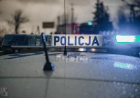 Mandat za potrącenie pieszego na przejściu - zdjęcie główne