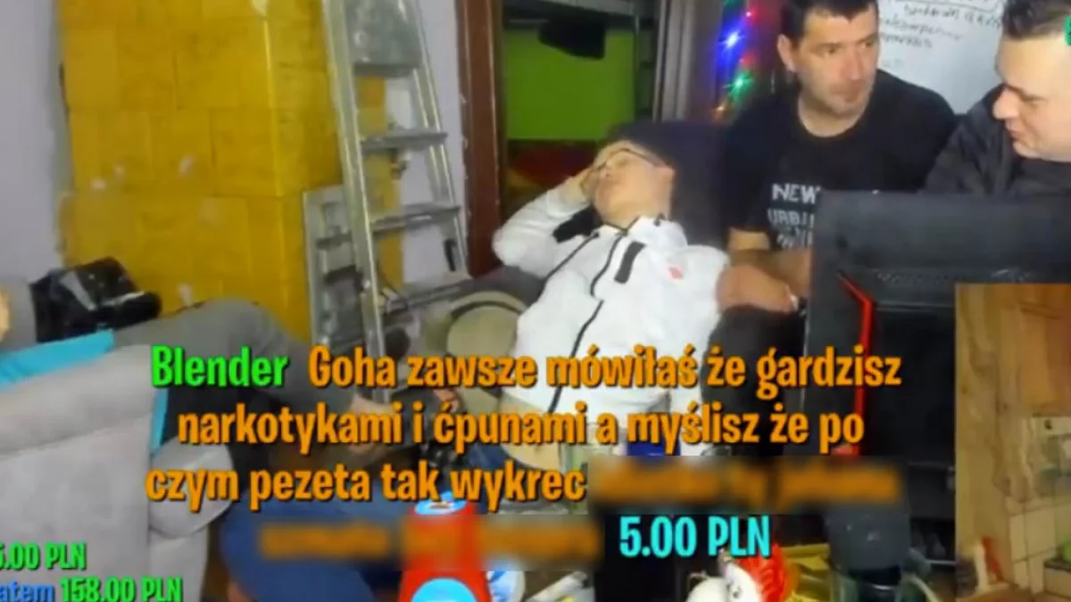 Dziewięć lat i dwa dni - internet, którego dorośli nie widzieli (Paweł Zastrzeżyński)