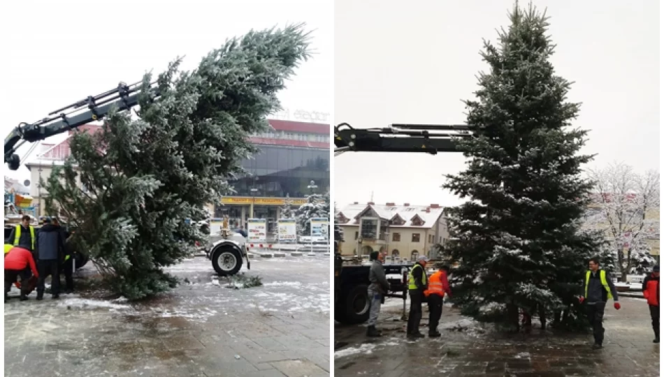 Choinka zdobi już rynek! - zdjęcie 1