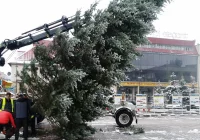 270 ozdób przy ulicach i choinka na płycie rynku - zdjęcie główne