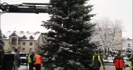 270 ozdób przy ulicach i choinka na płycie rynku - zdjęcie 2