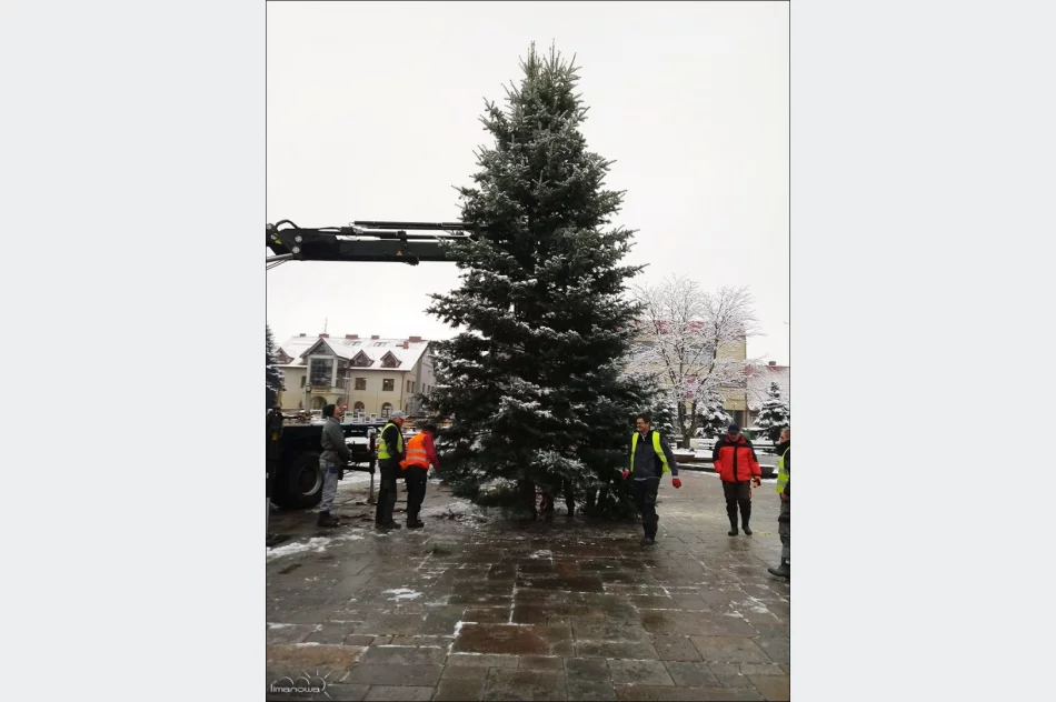 270 ozdób przy ulicach i choinka na płycie rynku - zdjęcie 2