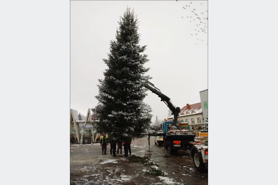 270 ozdób przy ulicach i choinka na płycie rynku - zdjęcie 3
