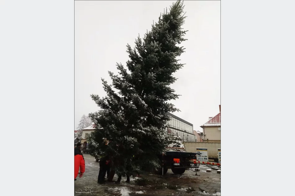 270 ozdób przy ulicach i choinka na płycie rynku - zdjęcie 4