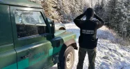 Wspólne patrole ze Strażą Graniczną w lasach - zdjęcie 3
