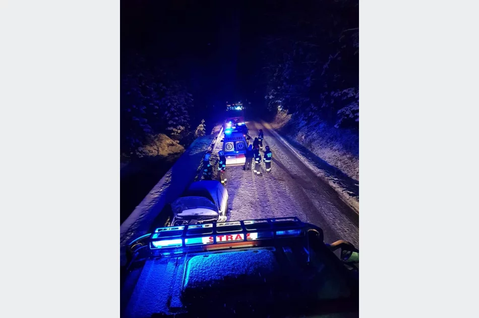 Czołowe zderzenie - dwie osoby w szpitalu - zdjęcie 2