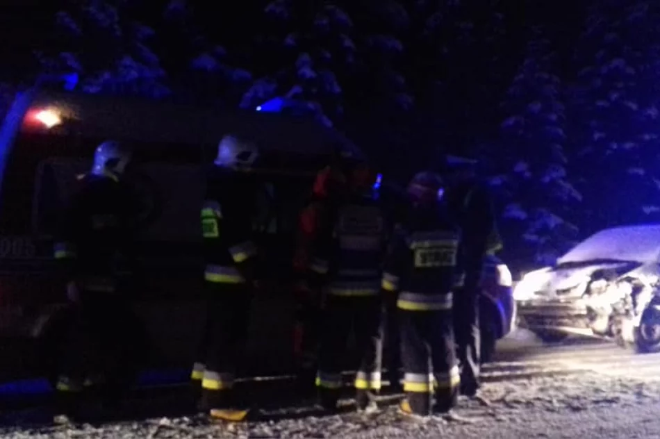 Czołowe zderzenie - dwie osoby w szpitalu - zdjęcie 3