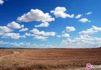 Małopolanie za dobrym węglem i kontrolami, a przeciwko paleniu śmieci - zdjęcie główne