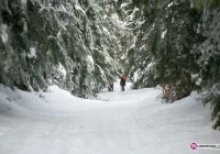 Cieplejsze zimy główną przeszkodą, szukają kandydatek do reprezentacji - zdjęcie główne